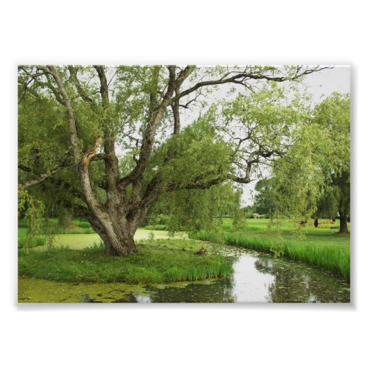 Greens van Grand pre Foto Afdruk (Voorkant)