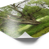 Greens van Grand pre Foto Afdruk (Hoek)