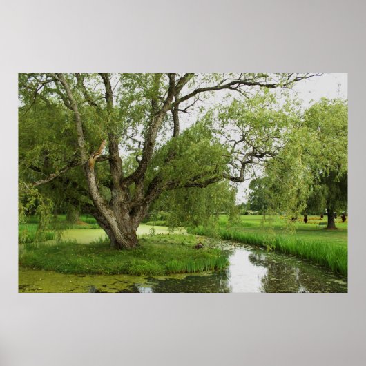 Greens van Grand pre Poster (Voorkant)