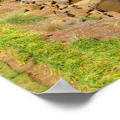 Greenville, South Carolina Reedy River Downtown Poster (Hoek)