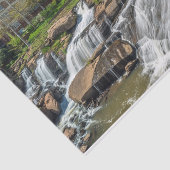 Greenville, South Carolina Reedy River Herfsten Pa Tissuepapier (Detail)