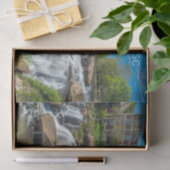 Greenville, South Carolina Reedy River Herfsten Pa Tissuepapier (Geschenk)