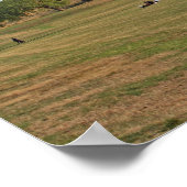 Greenwich Park, Londen Poster (Hoek)