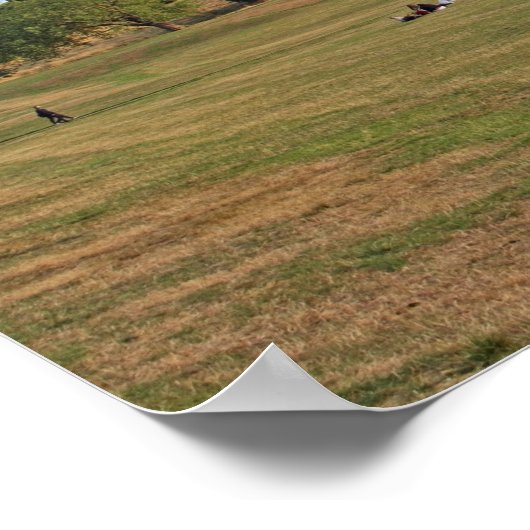 Greenwich Park, Londen Poster (Hoek)