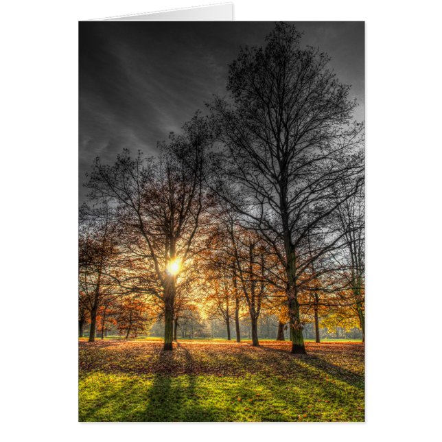 Greenwich Park London (Voorkant)