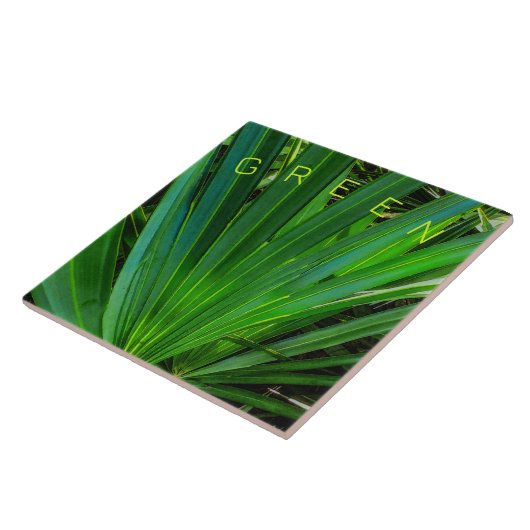 GREENZAG Palmetto-keramische Tegel Tegeltje (Zijkant)