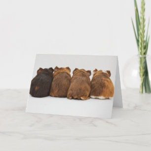 Greeting Card - Guinea Pig Butts Kaart