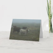 Greeting Card "Longhorns in the Fog" (blank inside Kaart (Voorkant)