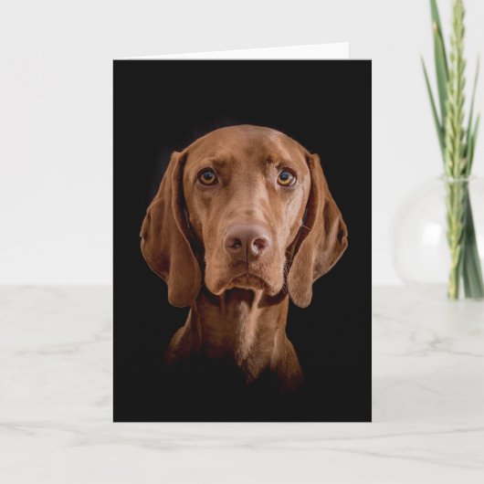 Greeting Card  "Magyar Vizsla" Kaart (Voorkant)