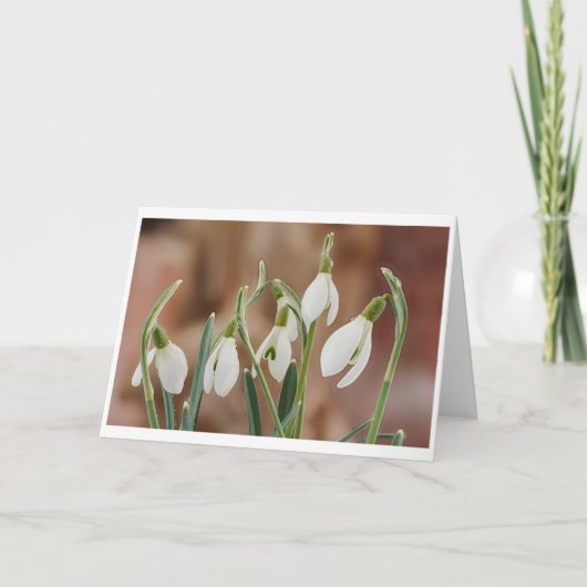 greeting card snowdrop without text kaart (Voorkant)