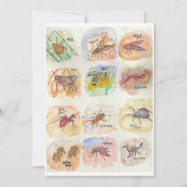 Greeting card with colorful images of twelve bugs feestdagenkaart