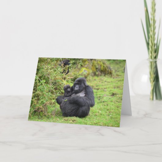 Greeting Cards Dian Fossey Gorilla Kaart (Voorkant)