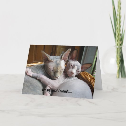 Greeting Cards for Lovers Kaart (Voorkant)