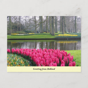 Greeting of Holland Briefkaart