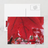 Greeting of Minnesota Briefkaart (Voorkant / Achterkant)