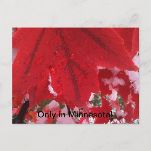 Greeting of Minnesota Briefkaart (Voorkant)