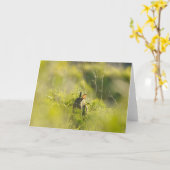 Greetings Card - Rabbit 3 Kaart (Gele Bloem)