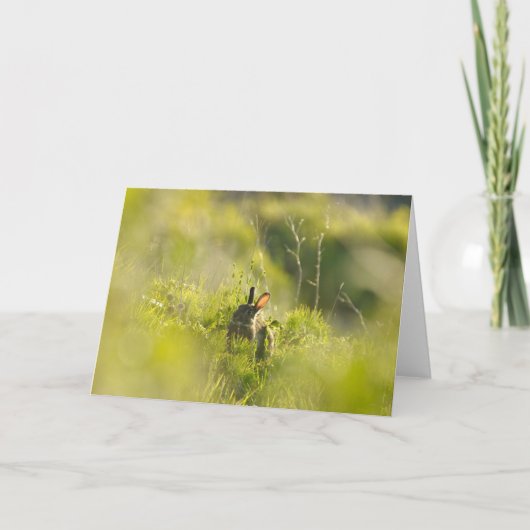 Greetings Card - Rabbit 3 Kaart (Voorkant)