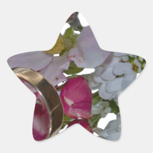 Greetings - Cheers Ster Sticker