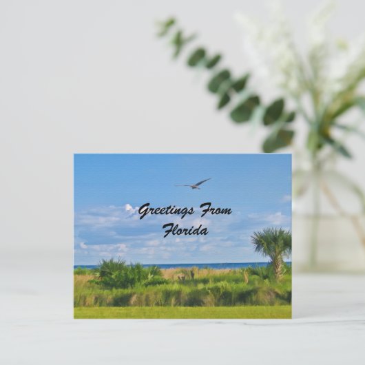 Greetings, Florida, Briefkaart (Staand voorkant)