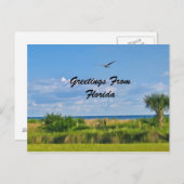Greetings, Florida, Briefkaart (Voorkant / Achterkant)