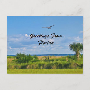 Greetings, Florida, Briefkaart