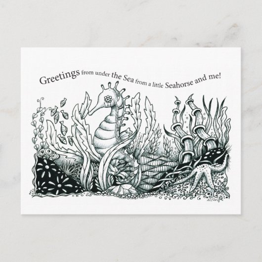 Greetings from a little seahorse briefkaart (Voorkant)