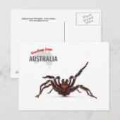 Greetings From Australia - Funnel-Web Spider Briefkaart (Voorkant / Achterkant)
