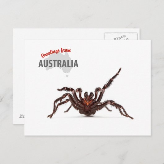 Greetings From Australia - Funnel-Web Spider Briefkaart (Voorkant / Achterkant)