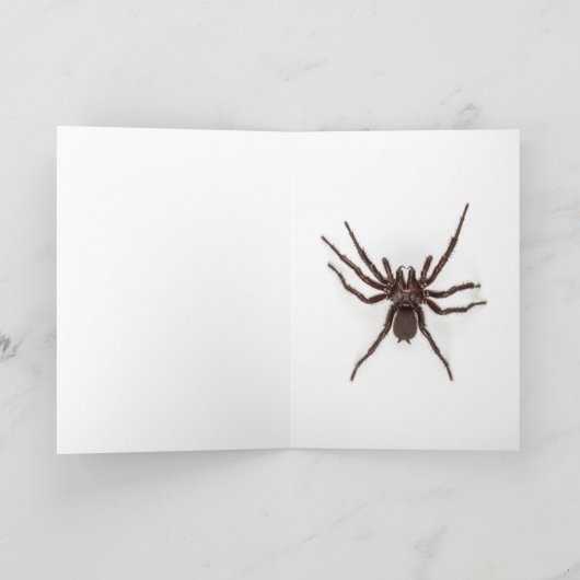 Greetings From Australia - Funnel-Web Spider Kaart (Binnen)