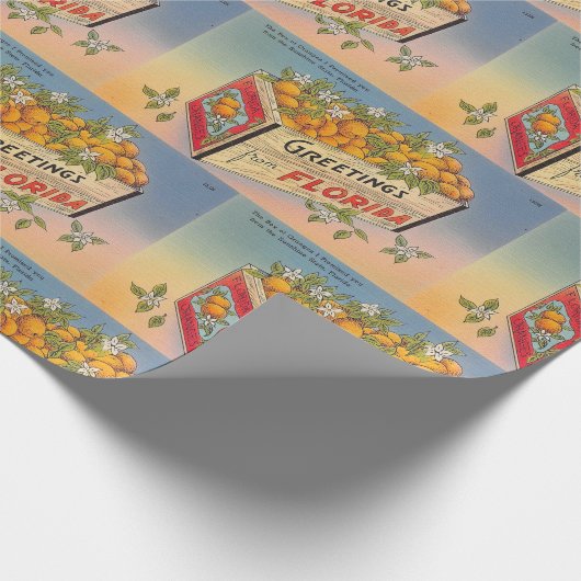 Greetings from Florida Cadeaupapier (Hoek)