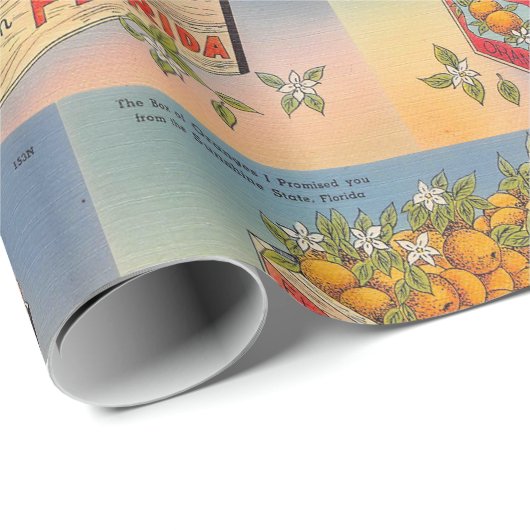 Greetings from Florida Cadeaupapier (Rol Hoek)