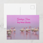 Greetings From Key West Florida, Pink Flamingo's Briefkaart (Voorkant / Achterkant)