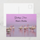 Greetings From Miami ,Florida Pink Flamingo's Briefkaart (Voorkant / Achterkant)