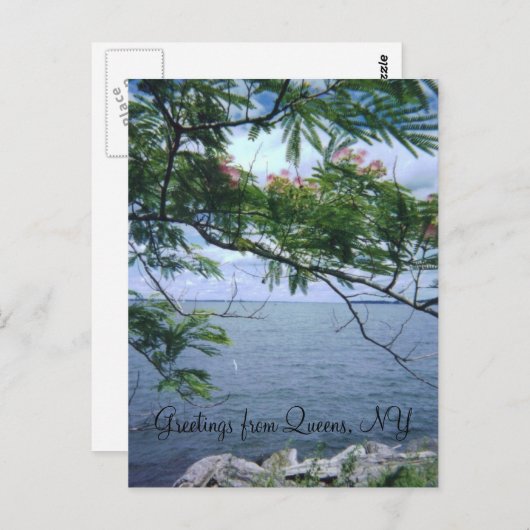 Greetings from Queens Briefkaart (Voorkant / Achterkant)