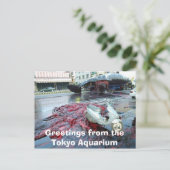 Greetings from the Tokyo Aquarium Briefkaart (Staand voorkant)