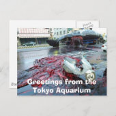 Greetings from the Tokyo Aquarium Briefkaart (Voorkant / Achterkant)