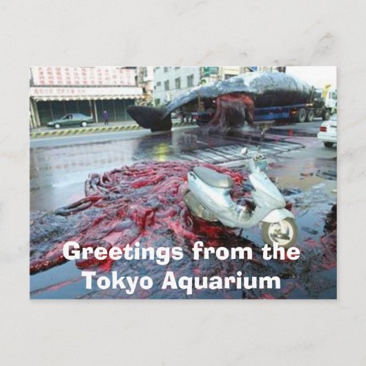 Greetings from the Tokyo Aquarium Briefkaart (Voorkant)