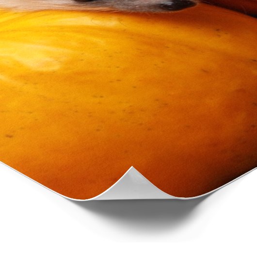 Greetings Hedégel Halloween Poster (Hoek)