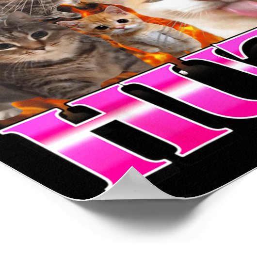 Greetings Huzz Funny Cat Meme Bootleg Graphic Men  Poster (Hoek)