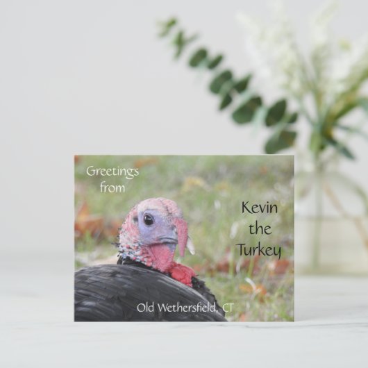 Greetings Kevin The Turkey - Old Wethersfield , CT Briefkaart (Staand voorkant)