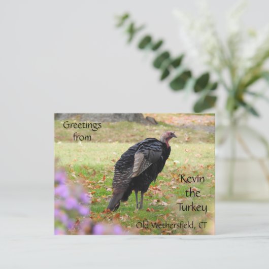 Greetings Kevin The Turkey - Old Wethersfield , CT Briefkaart (Staand voorkant)