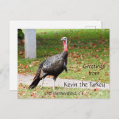 Greetings Kevin The Turkey - Old Wethersfield , CT Briefkaart (Voorkant / Achterkant)