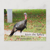 Greetings Kevin The Turkey - Old Wethersfield , CT Briefkaart (Voorkant)
