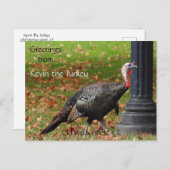 Greetings Kevin The Turkey - Old Wethersfield , CT Briefkaart (Voorkant / Achterkant)