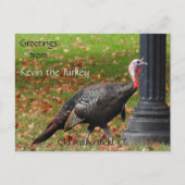 Greetings Kevin The Turkey - Old Wethersfield , CT Briefkaart (Voorkant)