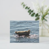 greetings op San Juan Island Briefkaart (Staand voorkant)