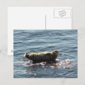 greetings op San Juan Island Briefkaart (Voorkant / Achterkant)