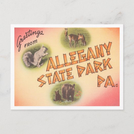 Greetings uit Allegany State Park, Pennsylvania Briefkaart (Voorkant)