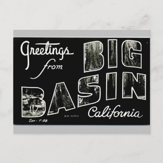 Greetings uit Big Basin California  kunst Briefkaart (Voorkant)
